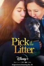 Watch Pick of the Litter Fmovies