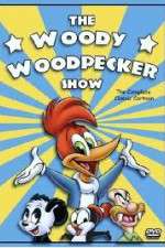 Watch The Woody Woodpecker Show Fmovies