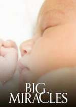 Watch Big Miracles Fmovies