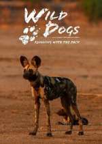 Watch Wild Dogs: Running with the Pack Fmovies