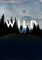Watch Called to the Wild Fmovies
