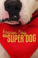 Watch Rescue Dog to Super Dog (US) Fmovies