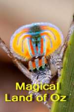 Watch Magical Land of Oz Fmovies