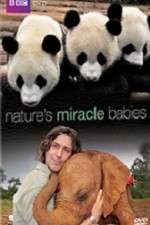 Watch Natures Miracle Babies Fmovies