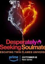 Watch Desperately Seeking Soulmate: Escaping Twin Flames Universe Fmovies