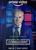 Watch The Consultant Fmovies