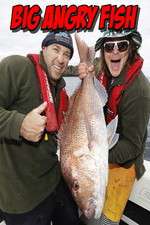 Watch Big Angry Fish Fmovies