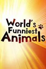 Watch The World\'s Funniest Animals Fmovies