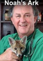 Watch Noah's Ark Fmovies