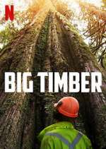 Watch Big Timber Fmovies