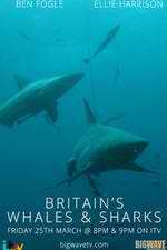 Watch Britain's Whales and Sharks Fmovies