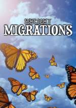 Watch Secret Migrations Fmovies
