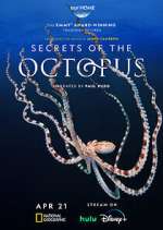 Watch Secrets of the Octopus Fmovies