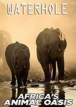 Watch Waterhole: Africa's Animal Oasis Fmovies