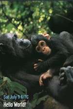 Watch Hello World! Fmovies