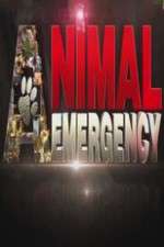 Watch Animal Emergency Fmovies