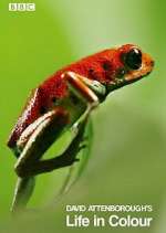 Watch Attenborough's Life in Colour Fmovies