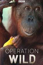 Watch Operation Wild Fmovies