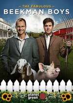 Watch The Fabulous Beekman Boys Fmovies
