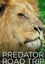 Watch Predator Road Trip Fmovies