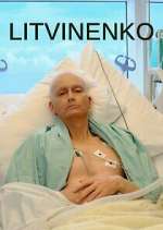 Watch Litvinenko Fmovies