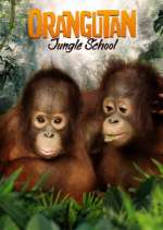 Watch Orangutan Jungle School Fmovies