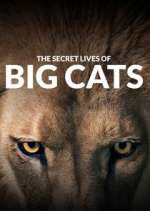 Watch The Secret Lives of Big Cats Fmovies
