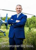 Watch Undercover Big Boss Fmovies