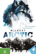 Watch Wildest Arctic Fmovies