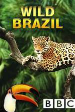 Watch Wild Brazil Fmovies