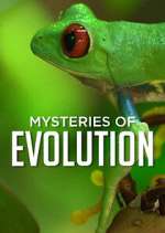 Watch Mysteries of Evolution Fmovies