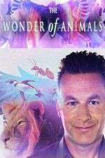 Watch The Wonder of Animals Fmovies