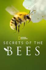 Watch Secrets of the Bees Fmovies