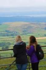 Watch Walks of Life Fmovies