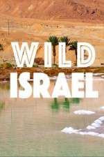 Watch Wild Israel Fmovies