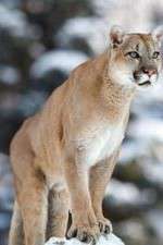 Watch Race of Life Fmovies