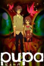 Watch Pupa Fmovies
