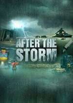 Watch After the Storm Fmovies