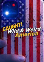 Watch Wild & Weird America Fmovies