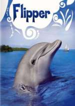 Watch Flipper Fmovies