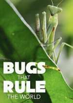 Watch Bugs that Rule the World Fmovies