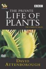 Watch The Private Life of Plants Fmovies