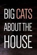 Watch Big Cats About the House Fmovies