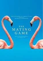 Watch The Mating Game Fmovies