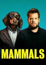 Watch Mammals Fmovies