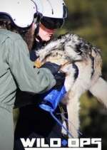 Watch Wild Ops Fmovies