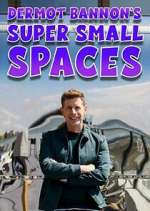 Watch Dermot Bannon's Super Small Spaces Fmovies