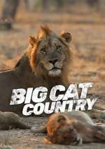 Watch Big Cat Country Fmovies
