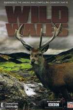 Watch Wild Wales Fmovies