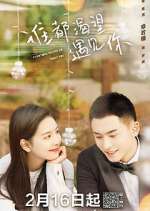 Watch Everyone Wants to Meet You Fmovies